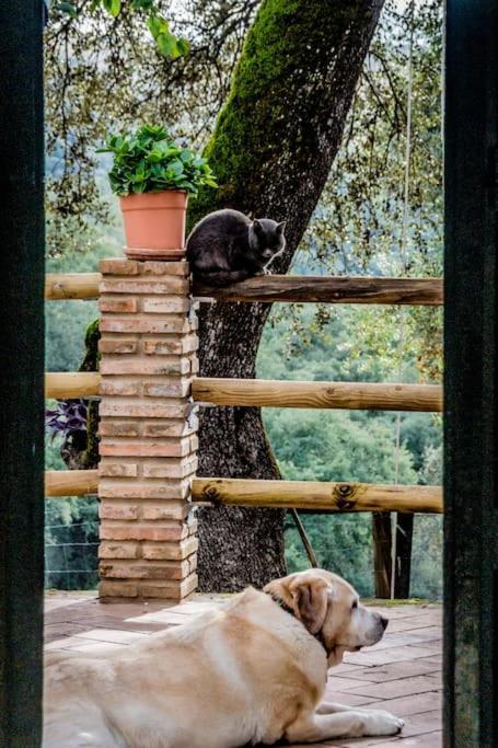 Casa Rural Alicia Cortegana Exterior foto